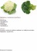 Nátirka z brokolice